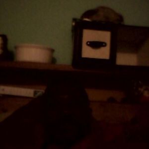 Meet your Posher, Marvin